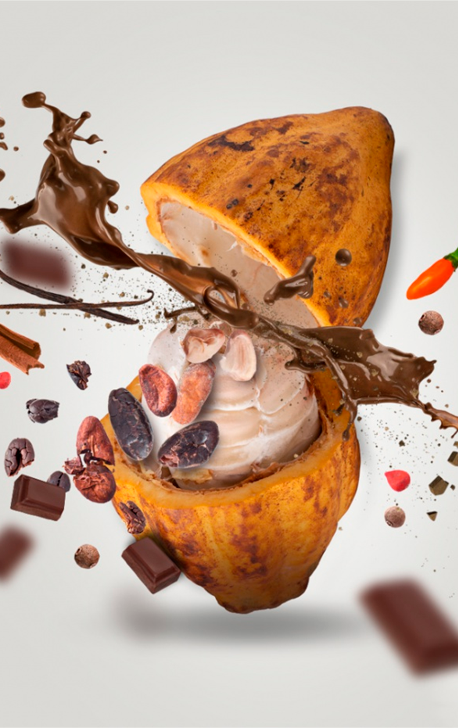 Festival del Chocolate 2023