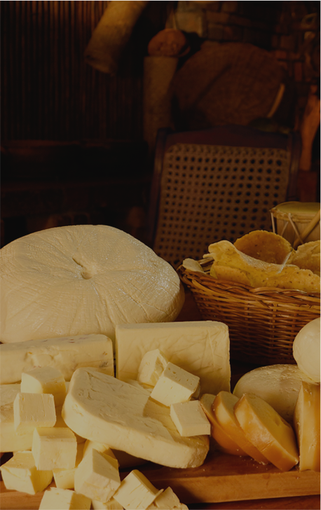 Festival del Queso 2018