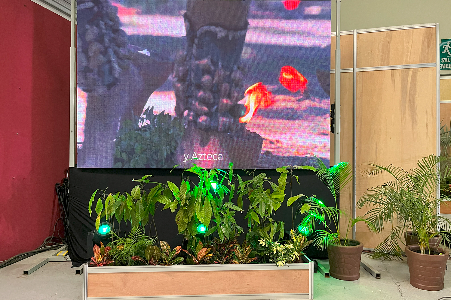 Pantalla LED de gran formato con jardinera decorativa, parte del montaje de Expodiseño.