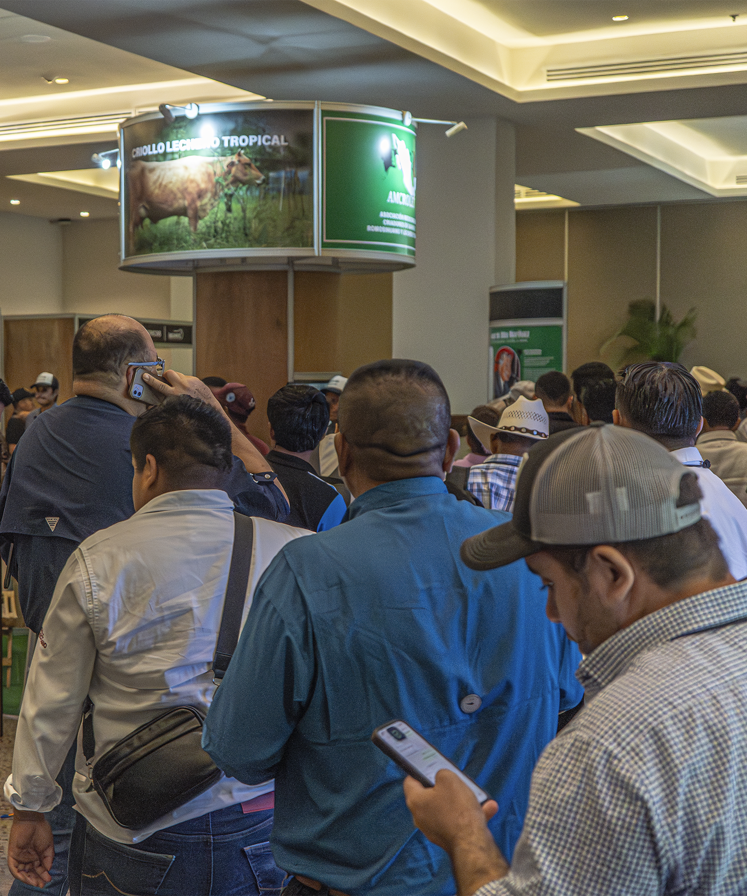 Networking y convivencia de asistentes en GANARE 2025